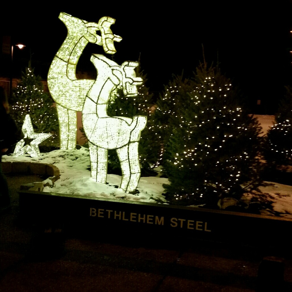 Meet your Posher, Maryanne